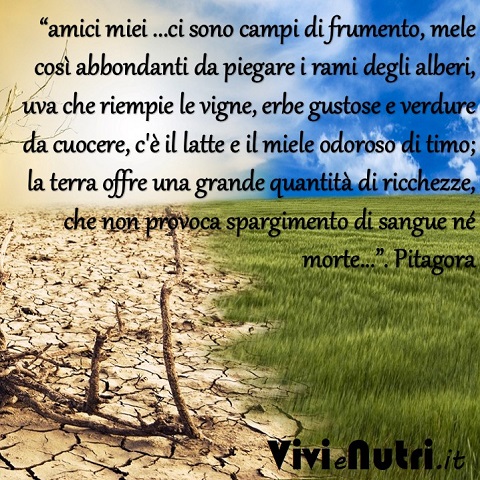 Amici miei …ci sono campi di frumento, mele così abbondanti da piegare i rami degli alberi, uva che riempie le vigne, erbe gustose e verdure da cuocere, c’è il latte e il miele odoroso di timo; la terra offre una grande quantità di ricchezze, che non provoca spargimento di sangue né morte…