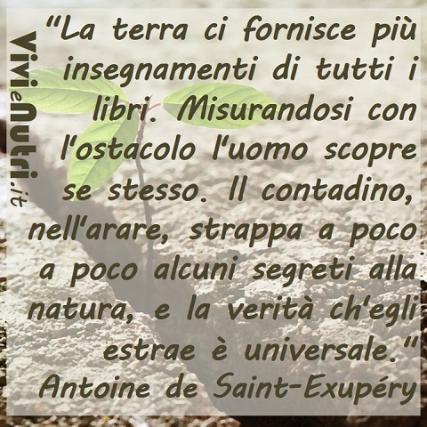 La terra ci fornisce più insegnamenti di tutti i libri. Misurandosi con l’ostacolo l’uomo scopre se stesso. Il contadino, nell’arare, strappa a poco a poco alcuni segreti alla natura, e la verità ch’egli estrae è universale.
