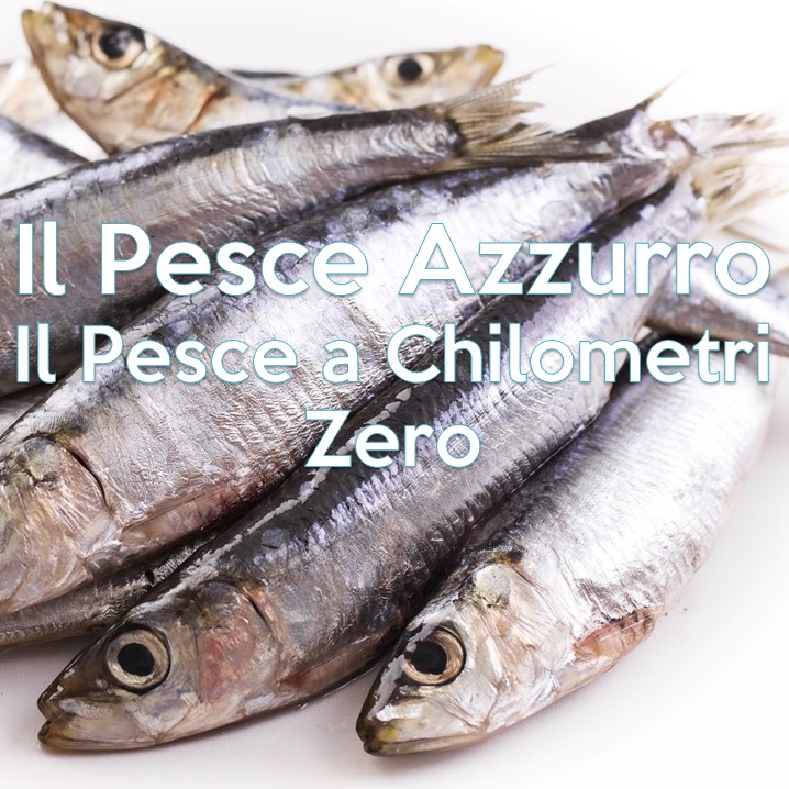 Piccola Guida Al Consumo Del Pesce Fresco Vivienutriit