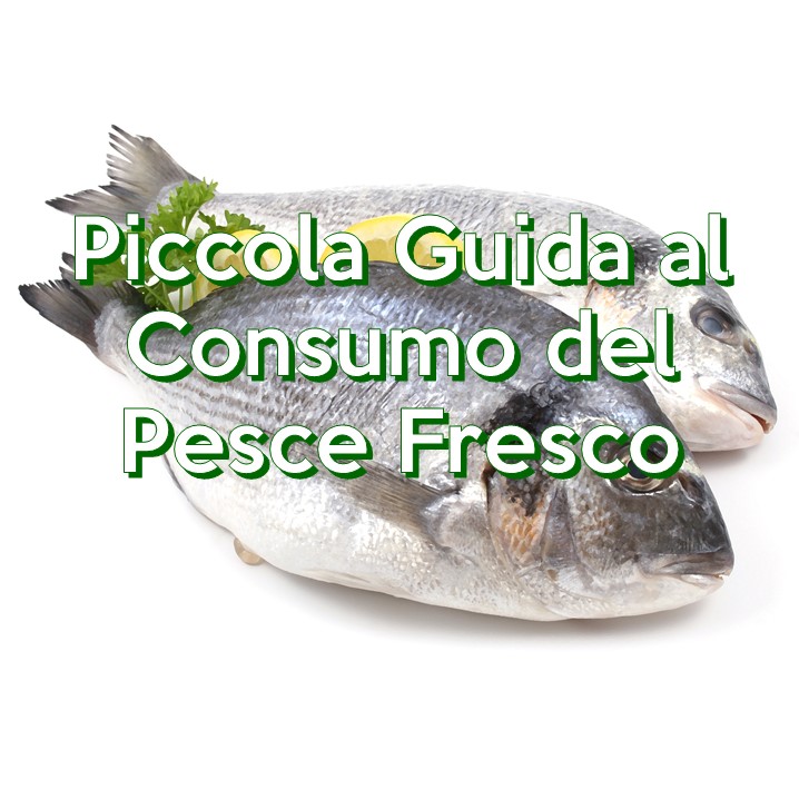 Piccola Guida Al Consumo Del Pesce Fresco Vivienutriit