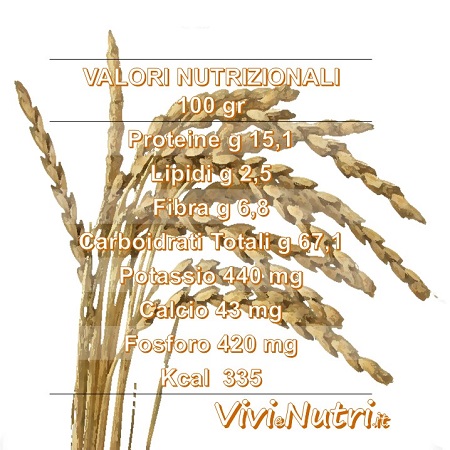 Il Farro: valori nutrizionali