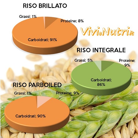 Il Riso: differenze nella ripartizione dei nutrienti